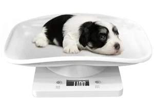 Digital Pet Scale (New)